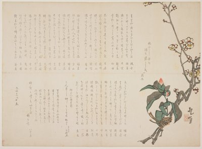 Plum and Camellia Branches by Nagayama Kchoku